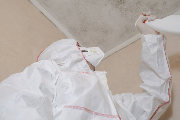Best Emergency Mold Remediation in Fort Belvoir, VA
